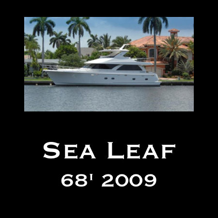 Sea Leaf Yacht Review